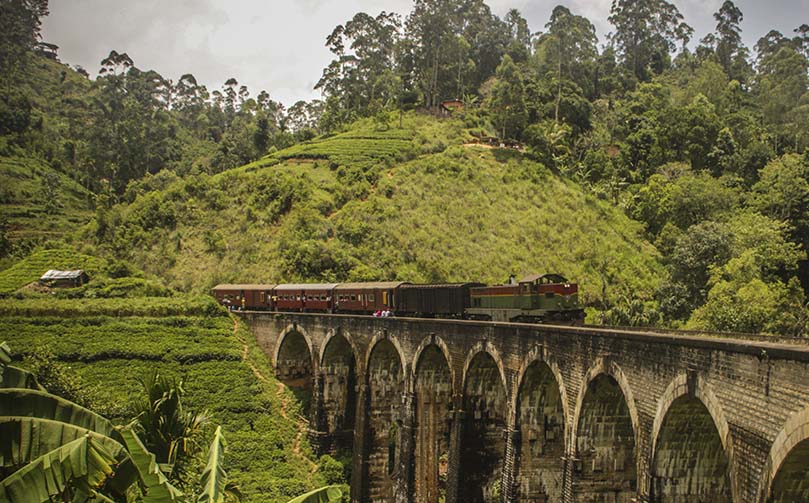 Alrededor de Sri Lanka - 10 días